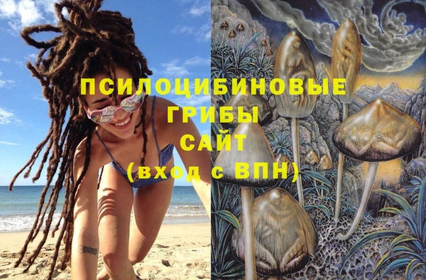 синтетический гашиш Алексеевка